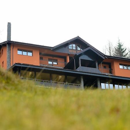 Pensiunea Ayana Petroşani Exteriör bild