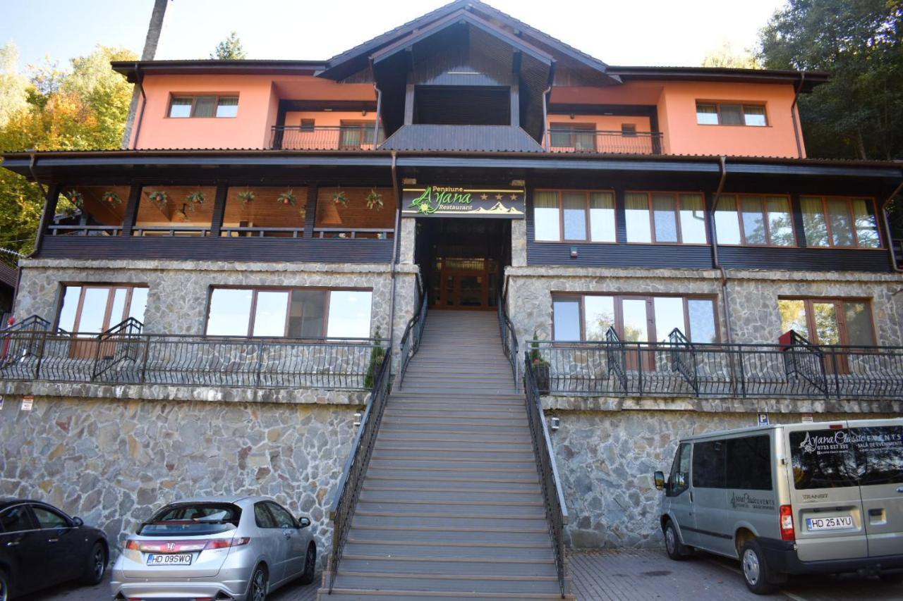 Pensiunea Ayana Petroşani Exteriör bild